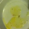 Lipton Soup - Insects - Photo 2