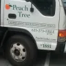 Peach Tree Landscaping - Damage to my truck - Photo 3
