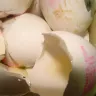 Al Madina Hypermarket - almost 80 % of egg found rotten in a tray of 30 eggs