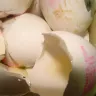 Al Madina Hypermarket - almost 80 % of egg found rotten in a tray of 30 eggs - Photo 4