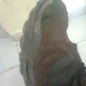 Adidas - poor quality shoes