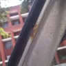 Fiat Auto - rust problem in punto - Photo 7