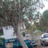 Arizona Public Service [APS] - incident on september 13, 2011 - Photo 7