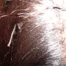 Glamour Girls Beauty Salon - WORST HAIR WEAVE EVER!