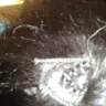 Glamour Girls Beauty Salon - WORST HAIR WEAVE EVER!