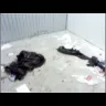 Life Storage - MASSIVE MICE DESTRUCTION - Photo 3