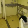 Carnival Cruise Lines - carnival suite upgrade, not sweet... - Photo 2