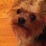 Banfield Pet Hospital - dog murder - Photo 1