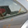 Premier Parking Enforcement [PPE] - Illegal booting - Photo 3