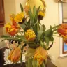 Teleflora - paid for wilted flowers - Photo 1