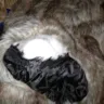 Milanoo.com - refusal to refund money for damaged product - Photo 2