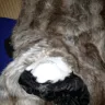 Milanoo.com - refusal to refund money for damaged product - Photo 4