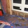 VRBO - mold in condo - Photo 4