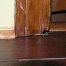 National Floors Direct - horrible installation - Photo 6