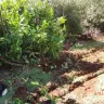 Mc Gregor Construction inc. - bad character, illegal behavior - Photo 4