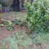 Mc Gregor Construction inc. - bad character, illegal behavior - Photo 5