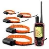 Garmin - discount sales garmin astro 320 3 dc 40 collar - Photo 1