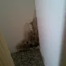 Dakota Canyon Apartments - failure to listen to complaints and provide solutions - Photo 1