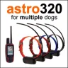 Garmin - garmin astro 320 + 5 dc 40 collar dog tracking collars...$600 usd