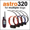 Garmin - garmin astro 320 + 5 dc 40 collar dog tracking collars...$600 usd - Photo 1
