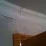 Mario Palombo Renovations - Gross Negligence - Photo 4