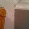 Mario Palombo Renovations - Gross Negligence - Photo 8