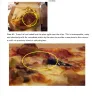 Domino's Pizza - customer service and food safety - Photo 1