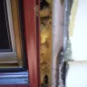 Pella - windows qualities - Photo 5