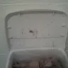 Family Dollar - filthy store - Photo 2