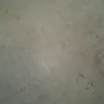 Family Dollar - filthy store - Photo 6
