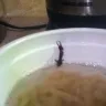 Kraft Heinz - easy mac n cheese - Photo 2