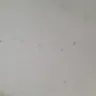 Red Roof Inn - disgusting drama mess - Photo 1