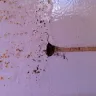 Frigidaire - poorly made, poor customer service - Photo 4