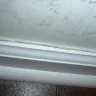 University Suites and The Villas - Unsafe rentals - Photo 5