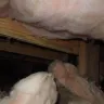 ADT Security Services - trashed insulation in crawl space - Photo 2