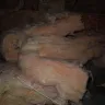 ADT Security Services - trashed insulation in crawl space