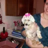 Banfield Pet Hospital - negligent death - Photo 1