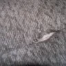 Badcock & More - Poor quality & customer service - Photo 1