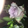Serenata Flowers - dreadful quality