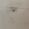 Realtor.com - NEGLIGENCE BLACK MOLD - Photo 1