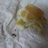 McDonald's - stone in burger - Photo 1