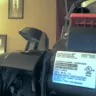 Bissell Homecare - Vaccum - Photo 2
