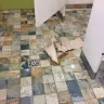 GoodLife Fitness - filth and hazardous material - Photo 2