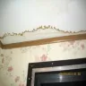 British Petroleum - bad shingles - Photo 1