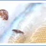 Bob's Discount Furniture - bedbugs - Photo 1