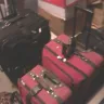 Greyhound Lines - lost luggage over 1 1/2 months