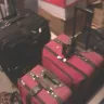 Greyhound Lines - lost luggage over 1 1/2 months - Photo 1