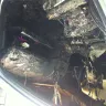 Mercedes-Benz International - fire under passenger seat - Photo 1