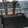 PetSmart - web site picture different than product - Photo 1