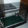 PetSmart - web site picture different than product - Photo 2
